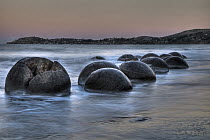 Moeraki Boulders, an example of septarian concretions at sunset, Moeraki Beach, Otago, New Zealand