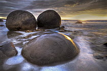 Moeraki boulders at dawn, an example o septariuan concretions, Moeraki Beach, Otago, New Zealand