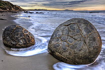 Moeraki boulders at dawn, an example of septarian concretions, Moeraki Beach, Otago, New Zealand