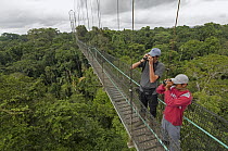 Tourists birdwatching in canopy walkway, Sacha Lodge, Amazon, Ecuador