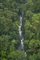 River in Mindo-Nambillo Reserve, Ecuador
