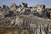 Flock Hill limestone boulders eroded by rain, Castle Hill Basin, Canterbury, New Zealand