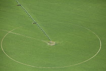 Center pivot irrigation system for agricultural field, Tulbagh, Western Cape, South Africa