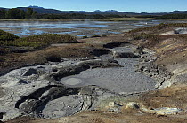 Geothermal mud pool, Kamchatka, Russia