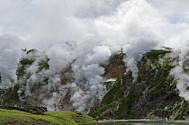 Steam emitted from geysers, Geyser River, Valley of Geysers, Kamchatka, Russia