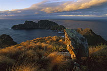 Rock island off of coast, Rakiura National Park, New Zealand