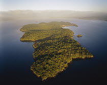 Islands, Rakiura National Park, Stewart Island, New Zealand