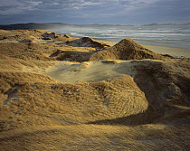 Sand dunes, Mason Bay, Rakiura National Park, New Zealand