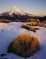 Mount Taranaki from Pouakai Range, Egmont National Park, New Zealand