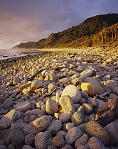 Coastline, Kahurangi National Park, New Zealand