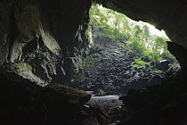 Deer Cave with an opening chamber over 120 meters is home to an estimated five million bats, Gunung Mulu National Park, Malaysia
