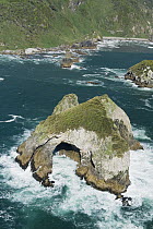 Arches in offshore rock, Chiloe Island, Chile