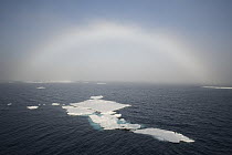 Fogbow over ice floes, Svalbard, Norway