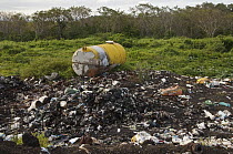 Landfill in the highlands of Santa Cruz Island, Galapagos Islands, Ecuador