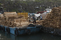 Loading timber on the dock for export to the mainland, Puerto Ayora, Santa Cruz Island, Galapagos Islands, Ecuador