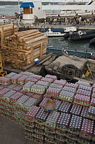 Unloading cargo on the dock, Puerto Ayora, Santa Cruz Island, Galapagos Islands, Ecuador