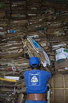 Cardboard recycling with worker, Santa Cruz Island, Galapagos Islands, Ecuador