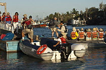 Tourists on municipal dock boarding zodiac boats, Puerto Ayora, Santa Cruz Island, Galapagos Islands, Ecuador