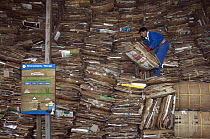 Cardboard recycling with worker, Santa Cruz Island, Galapagos Islands, Ecuador