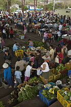 Produce market where most goods are brought in by ship from the mainland, Puerto Ayora, Santa Cruz Island, Galapagos Islands, Ecuador