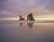 Wharariki Beach with natural arch, Golden Bay, New Zealand