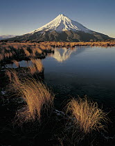 Mount Taranaki reflected in pond on Pouakai Range, New Zealand