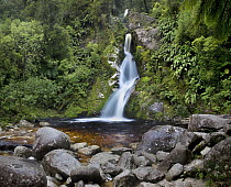 Dorothy Falls after winter rain storm, near Lake Kaniere, Hokitika, New Zealand