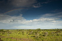 Rainbow over savannah, north Rupununi, Guyana