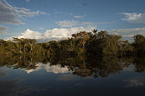 Permanent ponds in savannah, Rupununi, Guyana