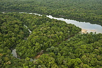 Essequibo River, Iwokrama Rainforest Reserve, Guyana