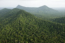 Rainforest and Kanuku Mountains, Upper Takutu-Upper Essequibo, Guyana