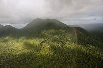 Rainbow over rainforest and Kanuku Mountains, Upper Takutu-Upper Essequibo, Guyana