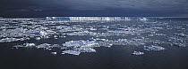 Ice floes and icebergs, Antarctica