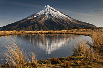 Mount Taranaki reflected in small tarn on slopes of Pouakai Range, New Zealand