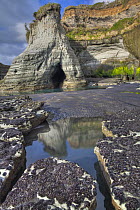 Cliff and algae covered rocks, Tongaporutu, New Zealand