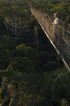 Tourist on canopy walkway at Sacha Lodge, Napo River, Yasuni National Park, Amazon, Ecuador