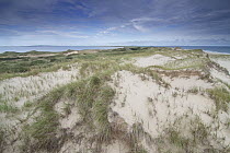 Beach dunes, Magadalen Islands, Quebec, Canada