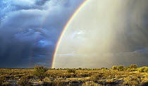 Double rainbow over Kalahari, Kgalagadi Transfrontier Park, Botswana