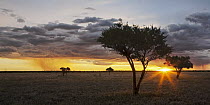 Sunset over plains, Khutse Game Reserve, Botswana
