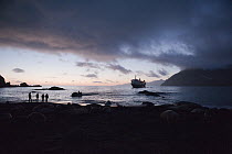 Tourists landing at dawn, Gold Harbor, South Georgia Island