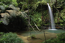 Waterfall cascading over layered bed of sandstone, Lambir Hills National Park, Malaysia
