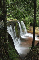 Waterfalls cascading over layered beds of sandstone, Lambir Hills National Park, Malaysia