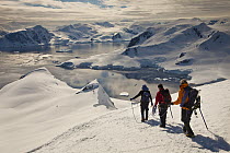 Climbers roped for glacier travel during descent from Mount Don Roberts above Paradise Bay, Antarctic Peninsula, Antarctica