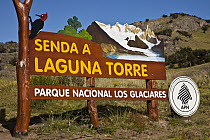 Magellanic Woodpecker (Campephilus magellanicus) male on route sign to Laguna Torre under Cerro Torre peak, Los Glaciares National Park, Patagonia, Argentina