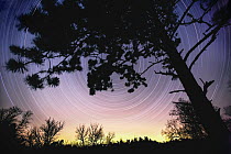 North star in night exposure on Christmas Eve, Minnesota