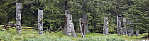 Haida totem poles on Anthony Island, South Moresby/Gwaii Haanas National Park Preserve, Queen Charlotte Islands, British Columbia, Canada
