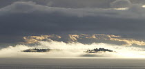 Fog surrounding islands, Patos Island, San Juan Islands, Washington