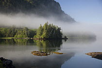 Forest along shore, Wainwright Basin, Port Edward, British Columbia, Canada