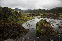 Burnaby Narrows at low tide, Gwaii Haanas National Park, Queen Charlotte Islands, British Columbia, Canada