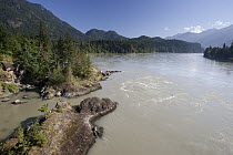Fraser River, British Columbia, Canada